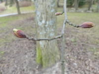 Image 13