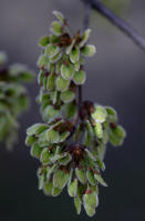 Image 14