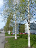 Image 14