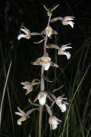 Image 14