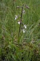 Image 15