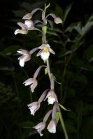 Image 16
