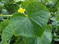 Image 23