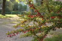Image 14