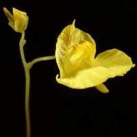 Image 16