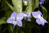 Image 14