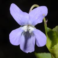 Image 13