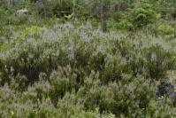 Image 14