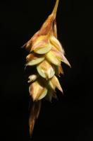 Image 16