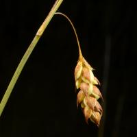 Image 23