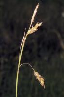 Image 24