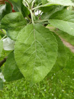 Image 23