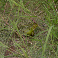 Image 14
