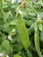 Image 18