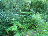 Image 14