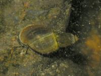Image 23
