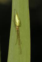 Image 14