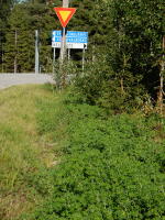 Image 18