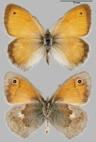 Image 13