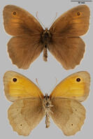 Image 23