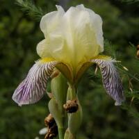 Image 6