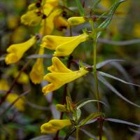 Image 22