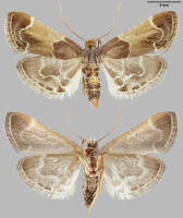 Image 22