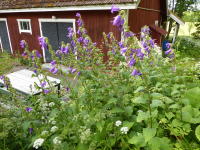 Image 14