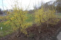 Image 14