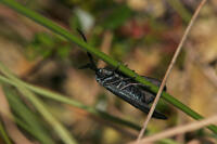 Image 15