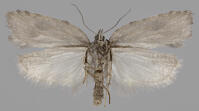 Image 15