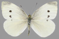 Image 23
