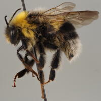 Image 20