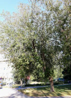 Image 18