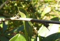Image 13