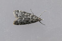 Image 9