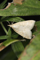 Image 18