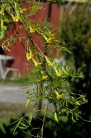 Image 14