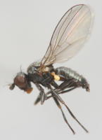 Image 22
