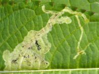 Image 20