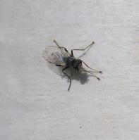 Image 17