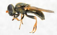 Image 23