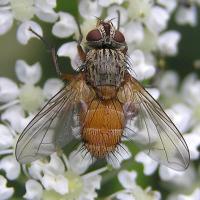 Image 17