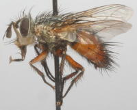 Image 15