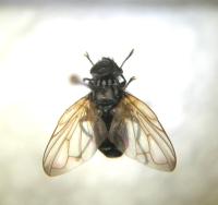 Image 23