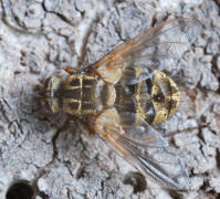 Image 23