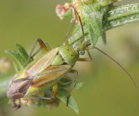 Image 10