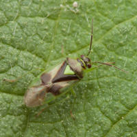 Image 9