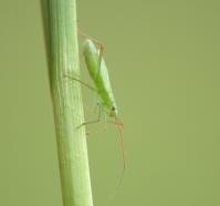 Image 23