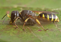 Image 10